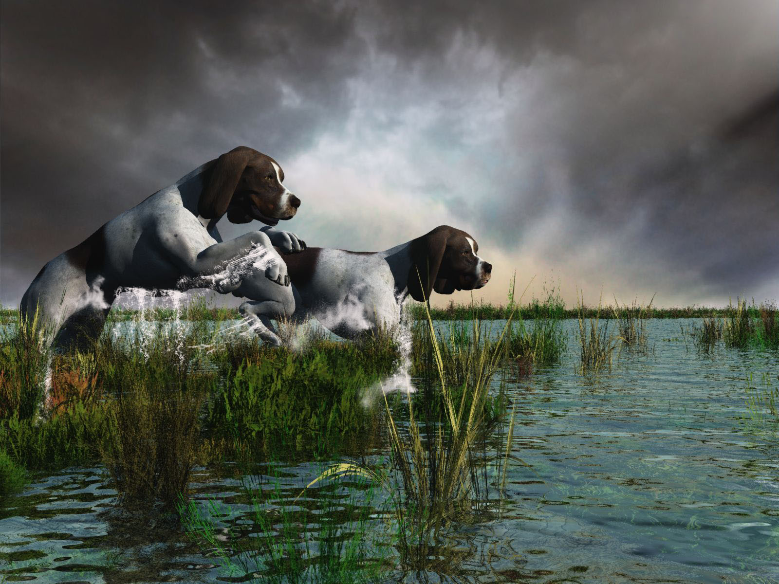 Download full size dogs 3D Animals wallpaper / 1600x1200