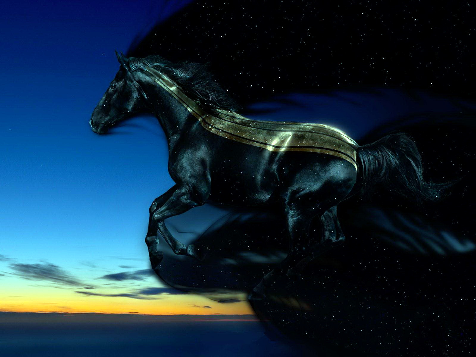 Download High quality horse from dark 3D Animals wallpaper / 1600x1200
