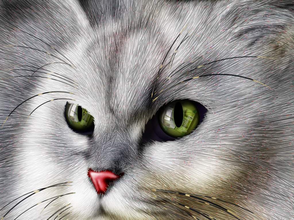 Download cat 3D Animals wallpaper / 1024x768