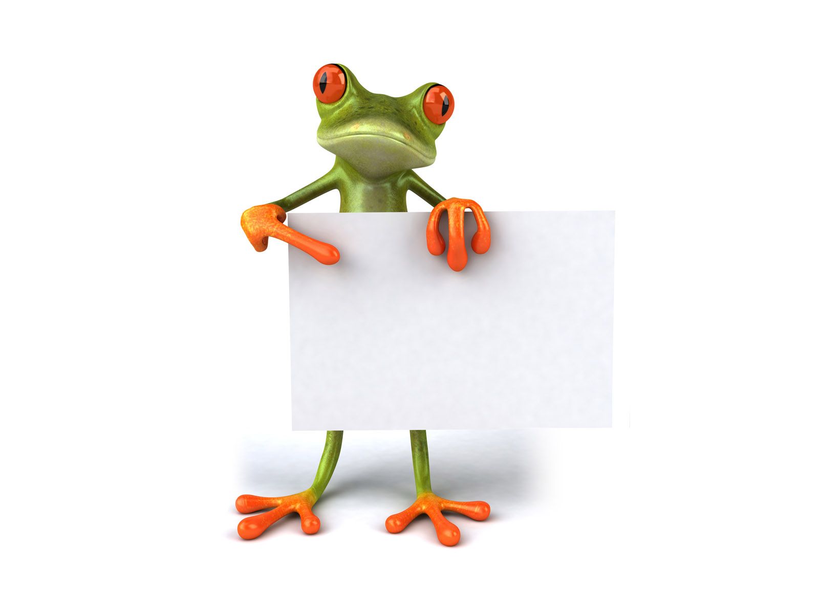 Download HQ Frog with blank list 3D Animals wallpaper / 1600x1200