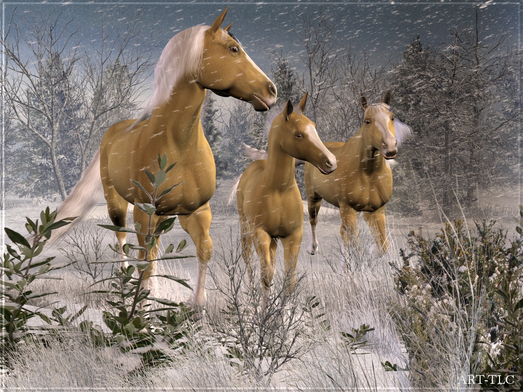 Download horse 3D Animals wallpaper / 1024x768