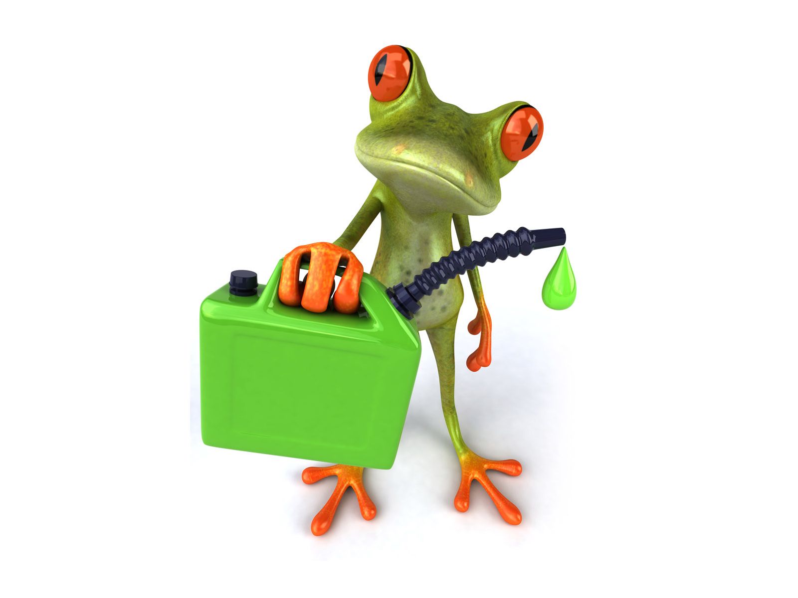 Download full size Frog and a fuel canister 3D Animals wallpaper / 1600x1200