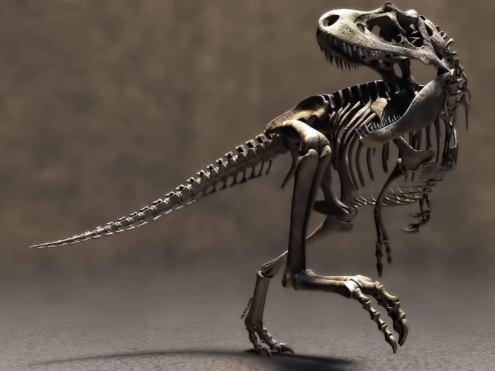 Download High quality Evil running dinosaur skeleton 3D Animals wallpaper / 1600x1200