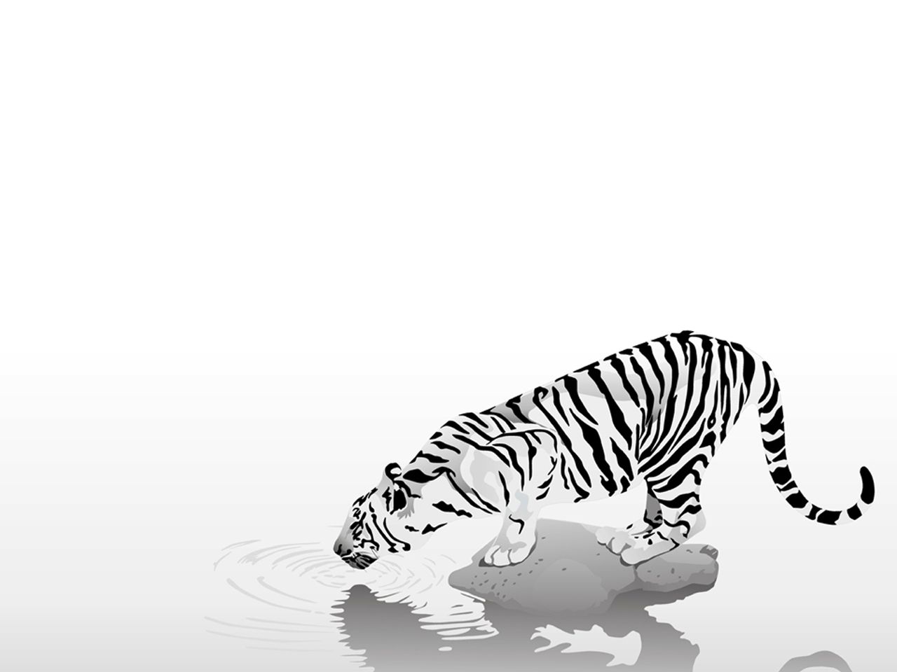Download High quality tiger watering 3D Animals wallpaper / 1280x960