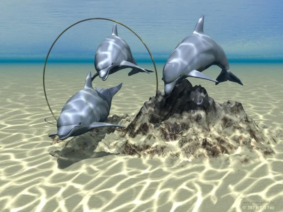 Free Send to Mobile Phone dolphin 3D Animals wallpaper num.34