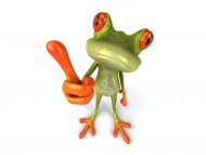Notice frog / 3D Animals