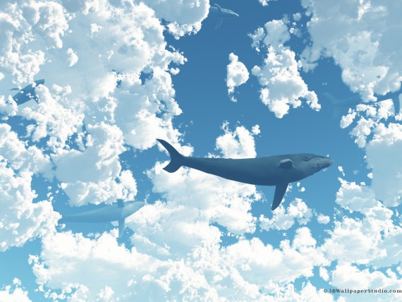 Free Send to Mobile Phone whale on sky 3D Animals wallpaper num.21