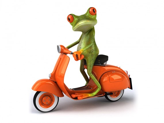 Free Send to Mobile Phone Frog is riding on moto 3D Animals wallpaper num.5