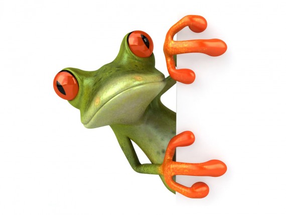 Free Send to Mobile Phone Frog is hiding 3D Animals wallpaper num.13