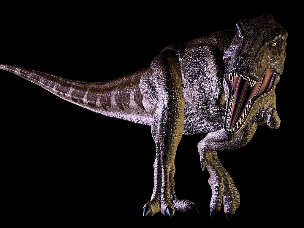 Full size dinosaur 3D Animals wallpaper / 1024x768
