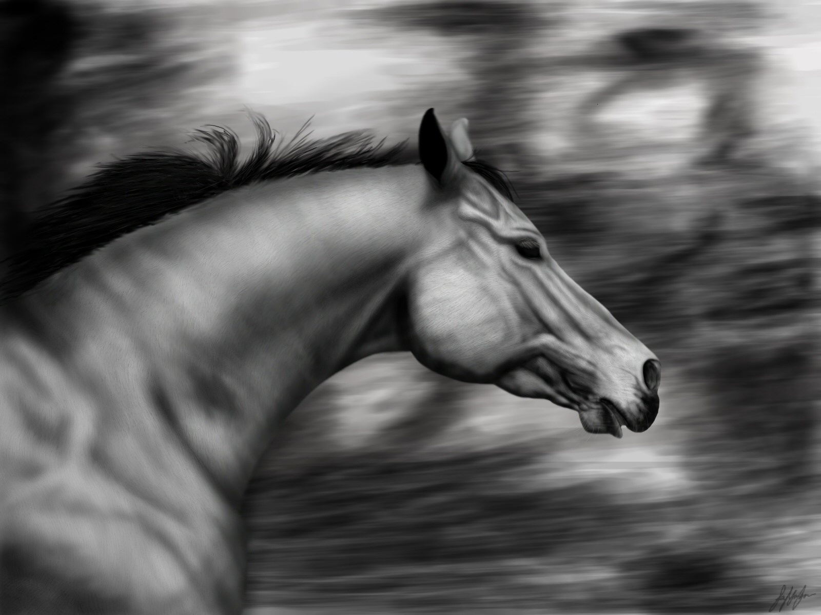 Download full size horse 3D Animals wallpaper / 1600x1200
