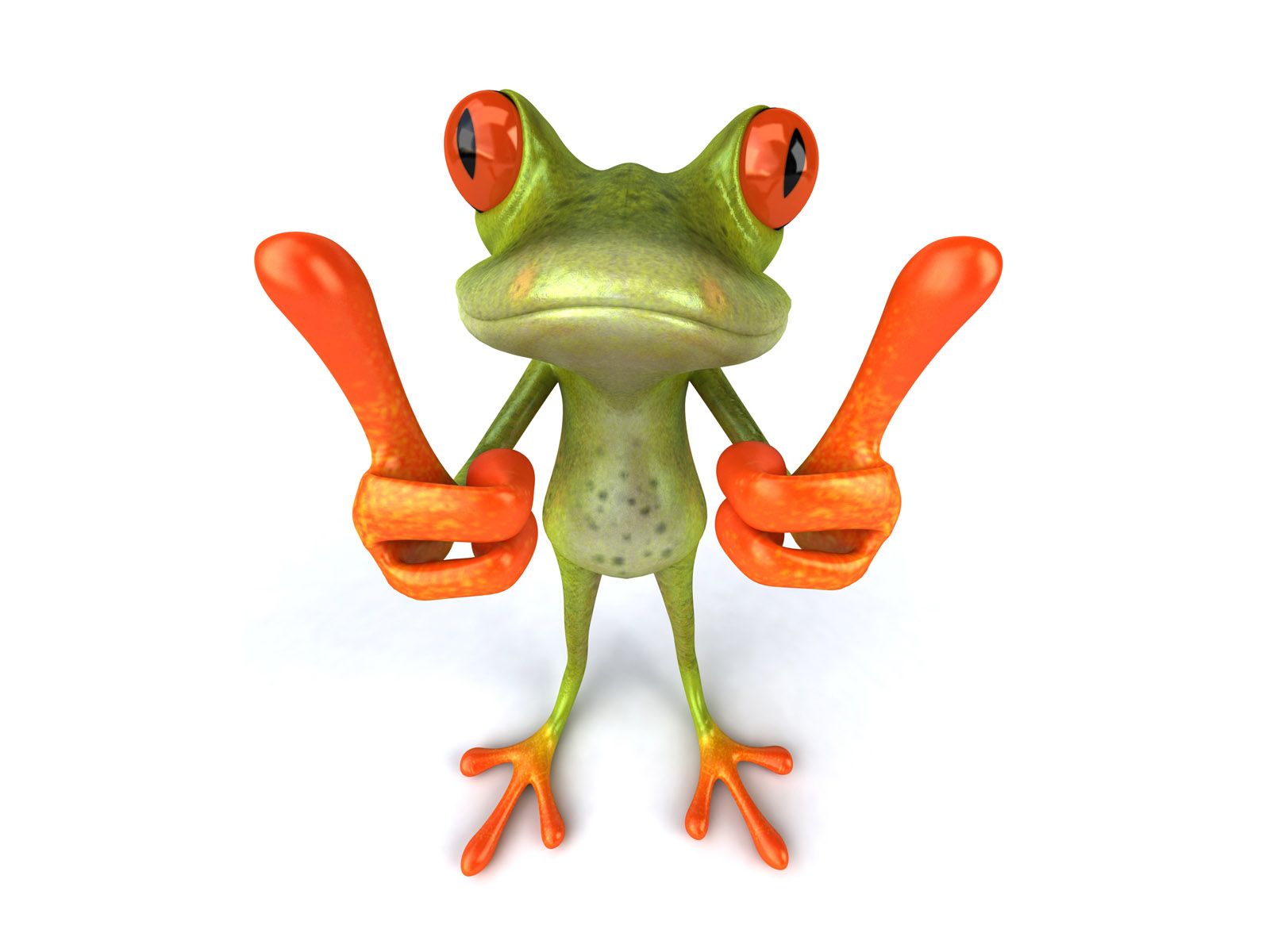 Download High quality Frog show size 3D Animals wallpaper / 1600x1200