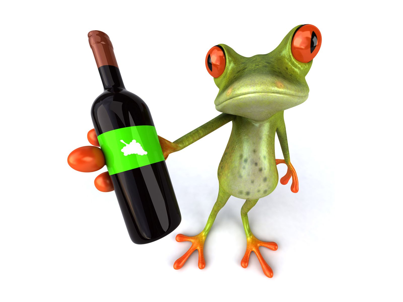 Download High quality Frog and bottle 3D Animals wallpaper / 1600x1200