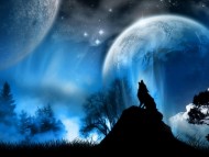 Bark at the moon / Digital Art