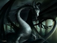 Dragon / Fantasy