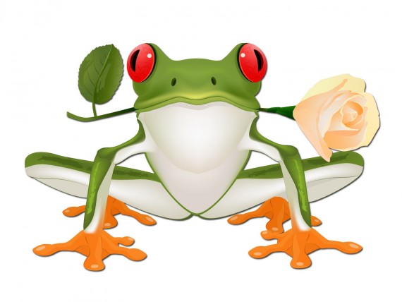 Free Send to Mobile Phone Frog bring rose Vector wallpaper num.40