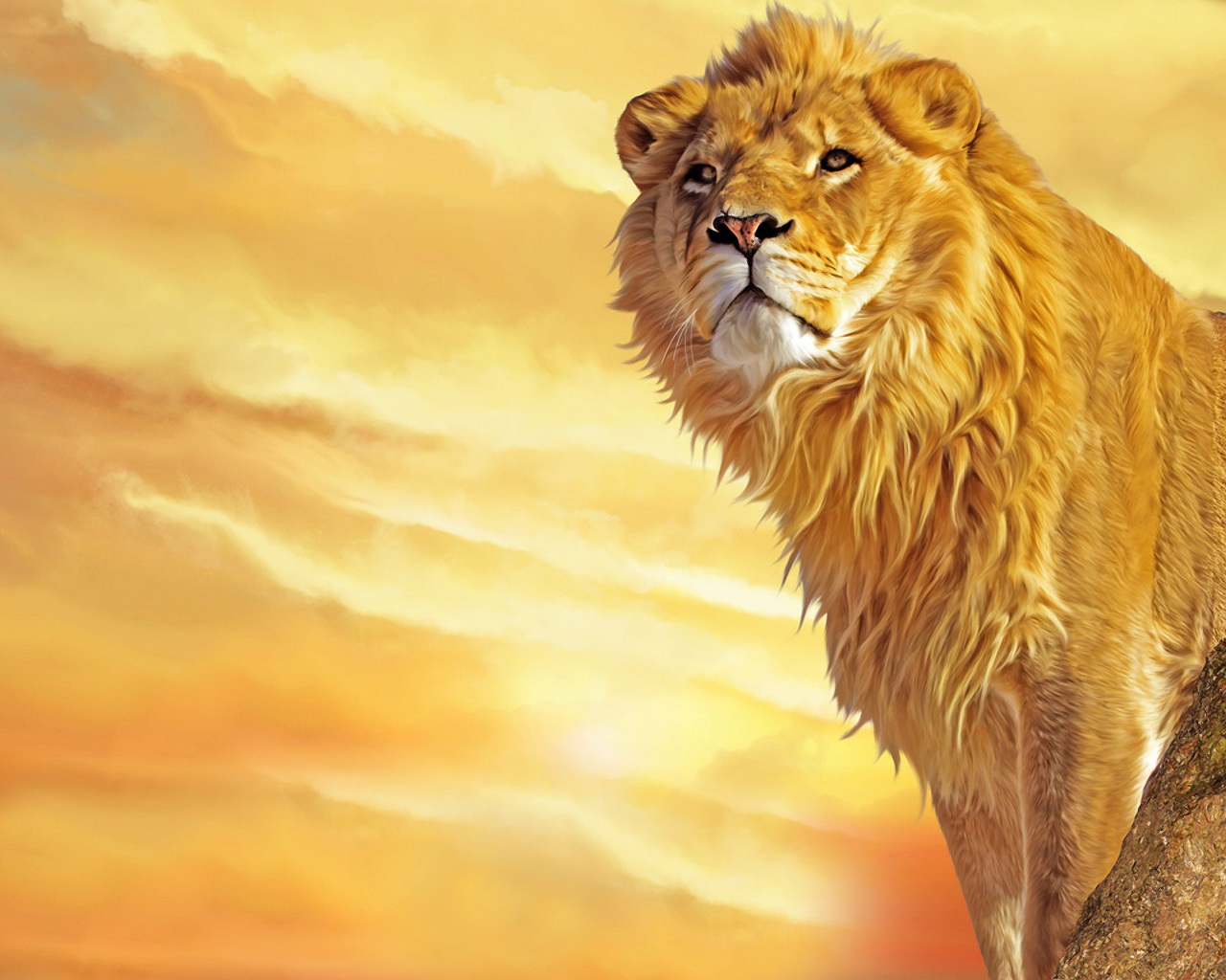 Download full size Lions wallpaper / Animals / 1280x1024