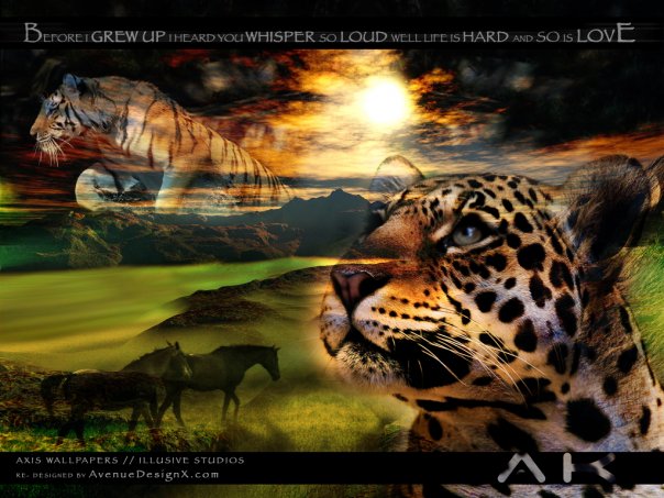 Full size horse,sun Tigers wallpaper / 604x453