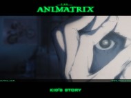 Animatrix / Anime