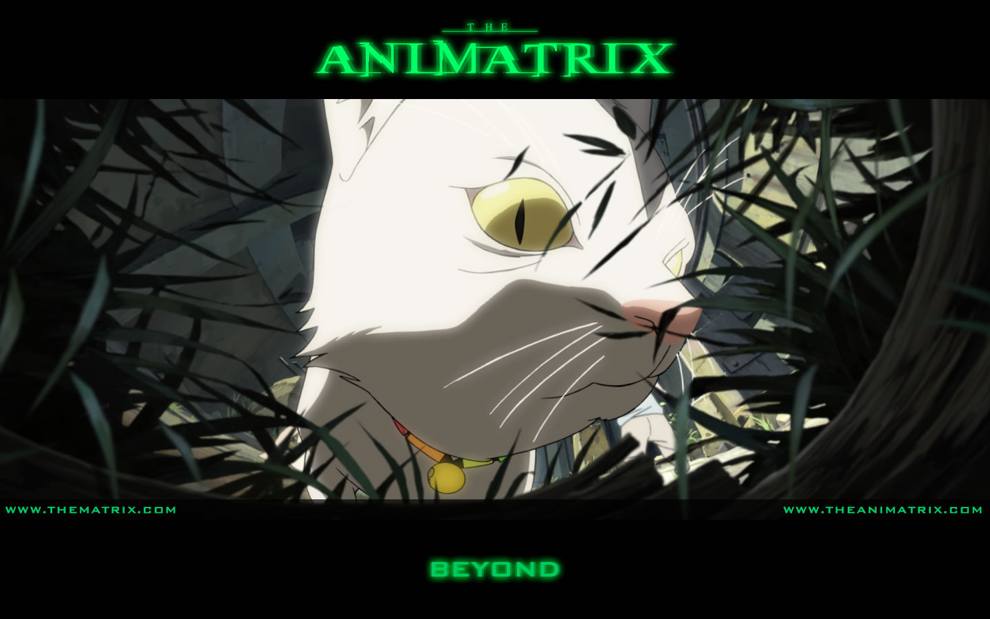 Download High quality Animatrix wallpaper / Anime / 1440x900