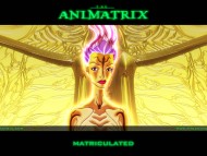 Animatrix / Anime