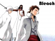 Bleach / Anime