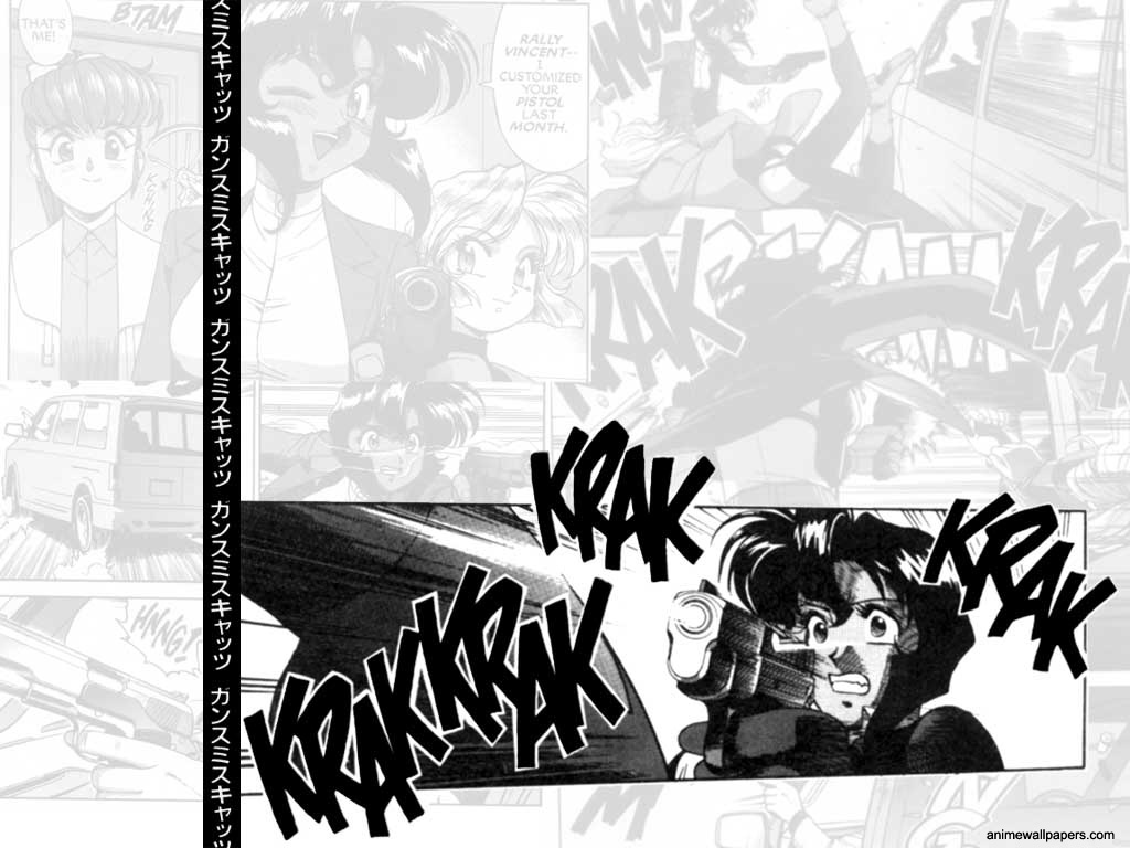 Full size Gunsmith Cats wallpaper / Anime / 1024x768