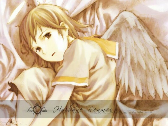 Free Send to Mobile Phone Haibane Renmei Anime wallpaper num.9