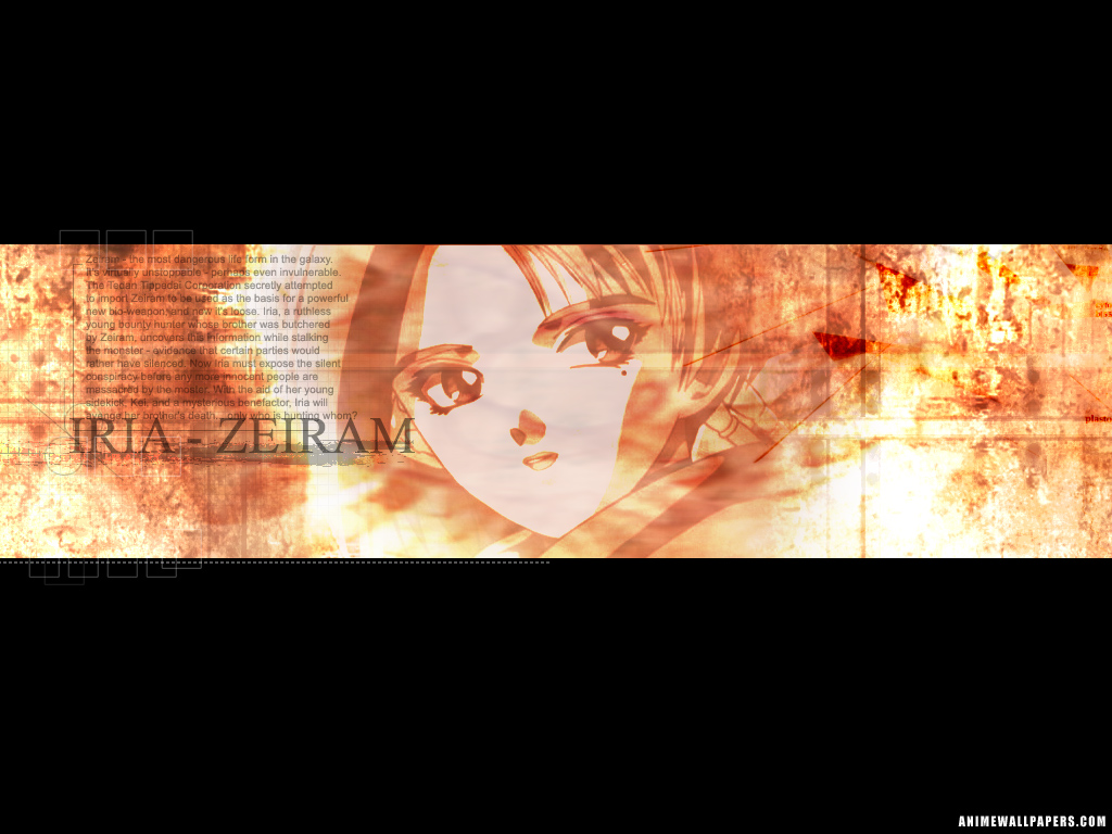 Full size Iria wallpaper / Anime / 1024x768