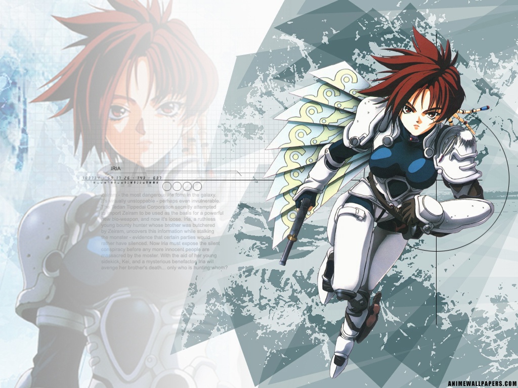 Full size Iria wallpaper / Anime / 1024x768