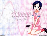 Download Love Hina / Anime