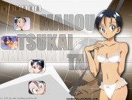 Mahou Tsukai Tai / Anime