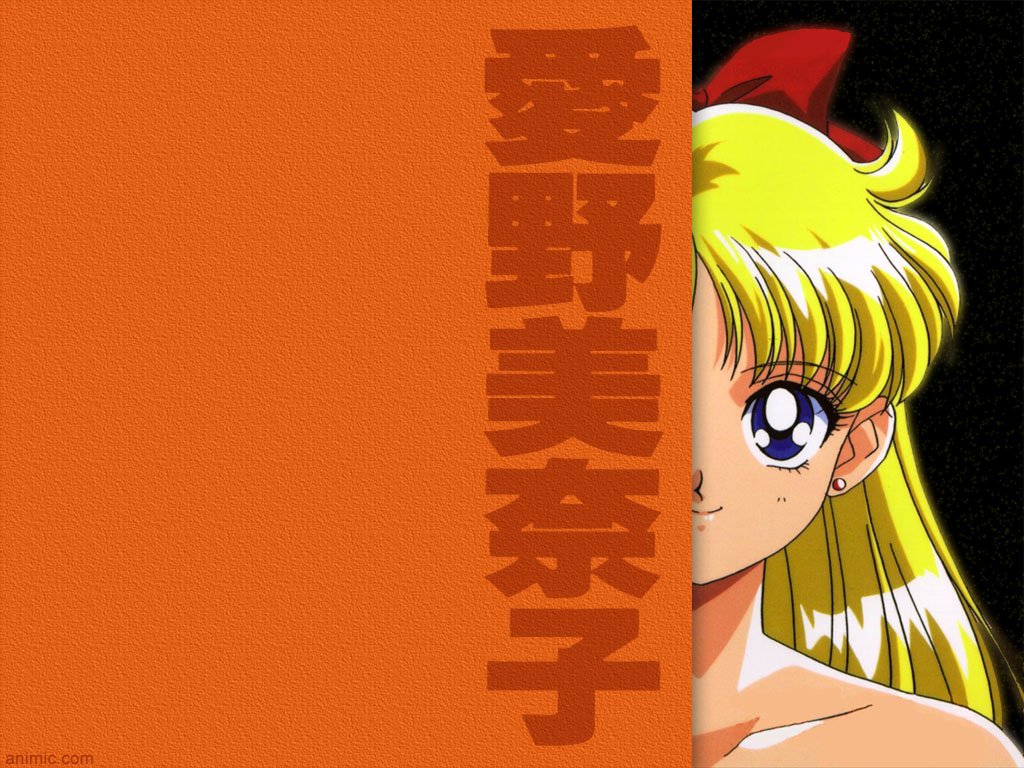 Download Sailor Moon / Anime wallpaper / 1024x768