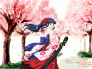 Sakura Wars / Anime