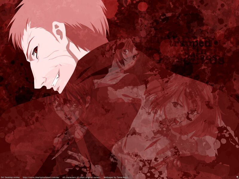 Download Shingetsutan Tsukihime / Anime wallpaper / 800x600
