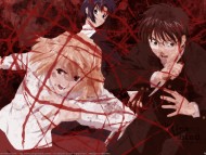 Shingetsutan Tsukihime / Anime