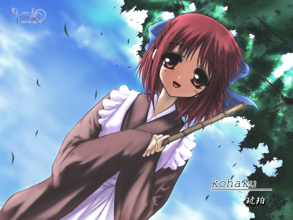 Download Shingetsutan Tsukihime / Anime wallpaper / 1024x768