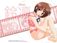 Sister Princess / Anime