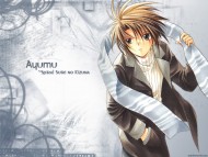 Download Spiral / Anime