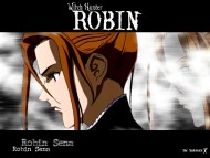 Witch Hunter Robin / Anime