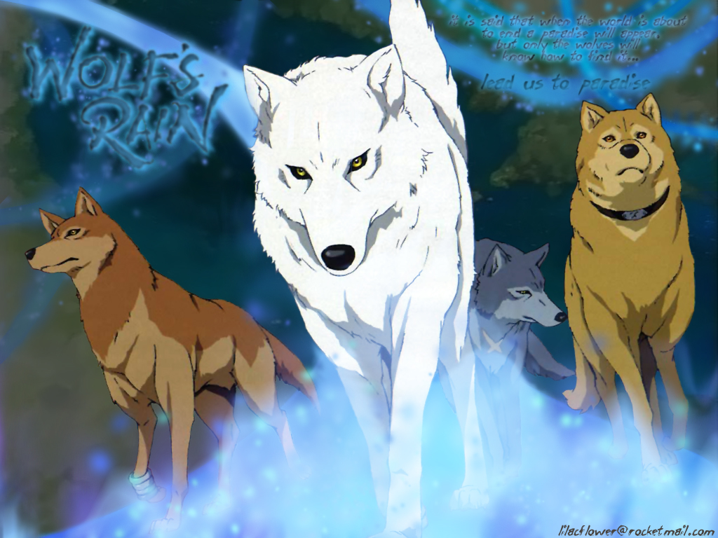 Download Wolfs Rain / Anime wallpaper / 1024x768