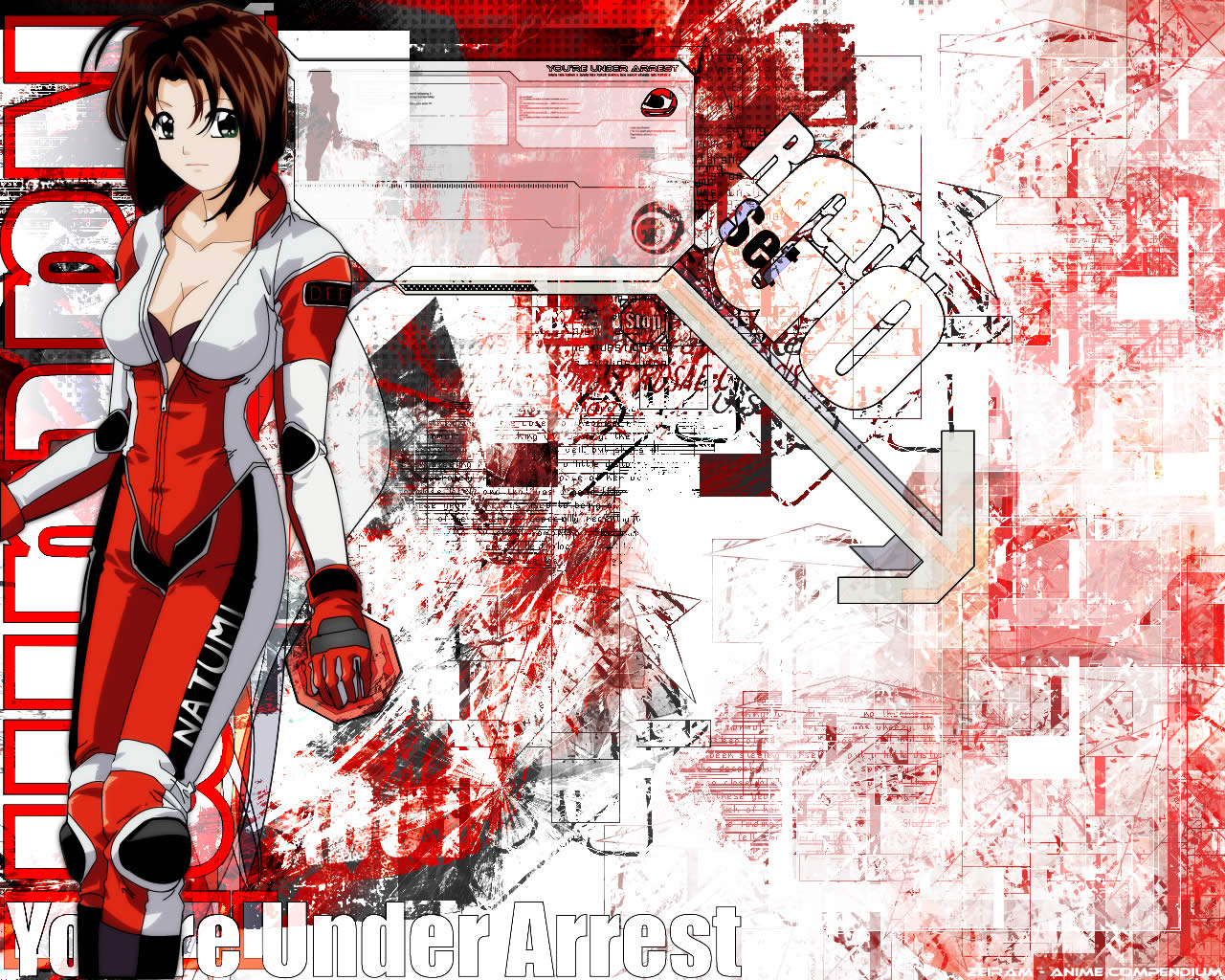 Download full size You Are Under Arrest wallpaper / Anime / 1280x1024