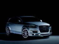 Q7 light / Audi