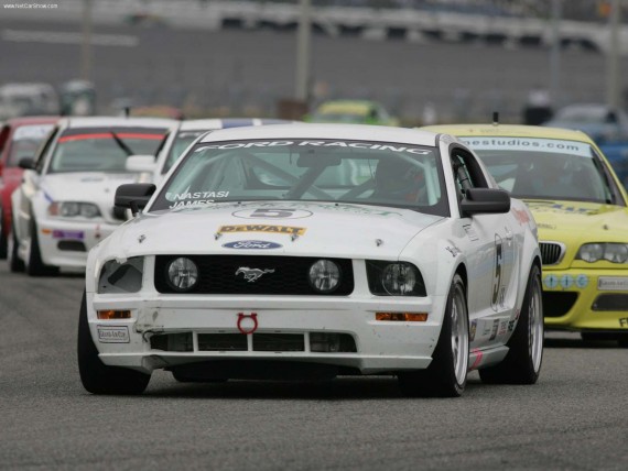 Free Send to Mobile Phone Race Mustang Ford wallpaper num.86