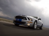 mustang shelby gt500 / Ford