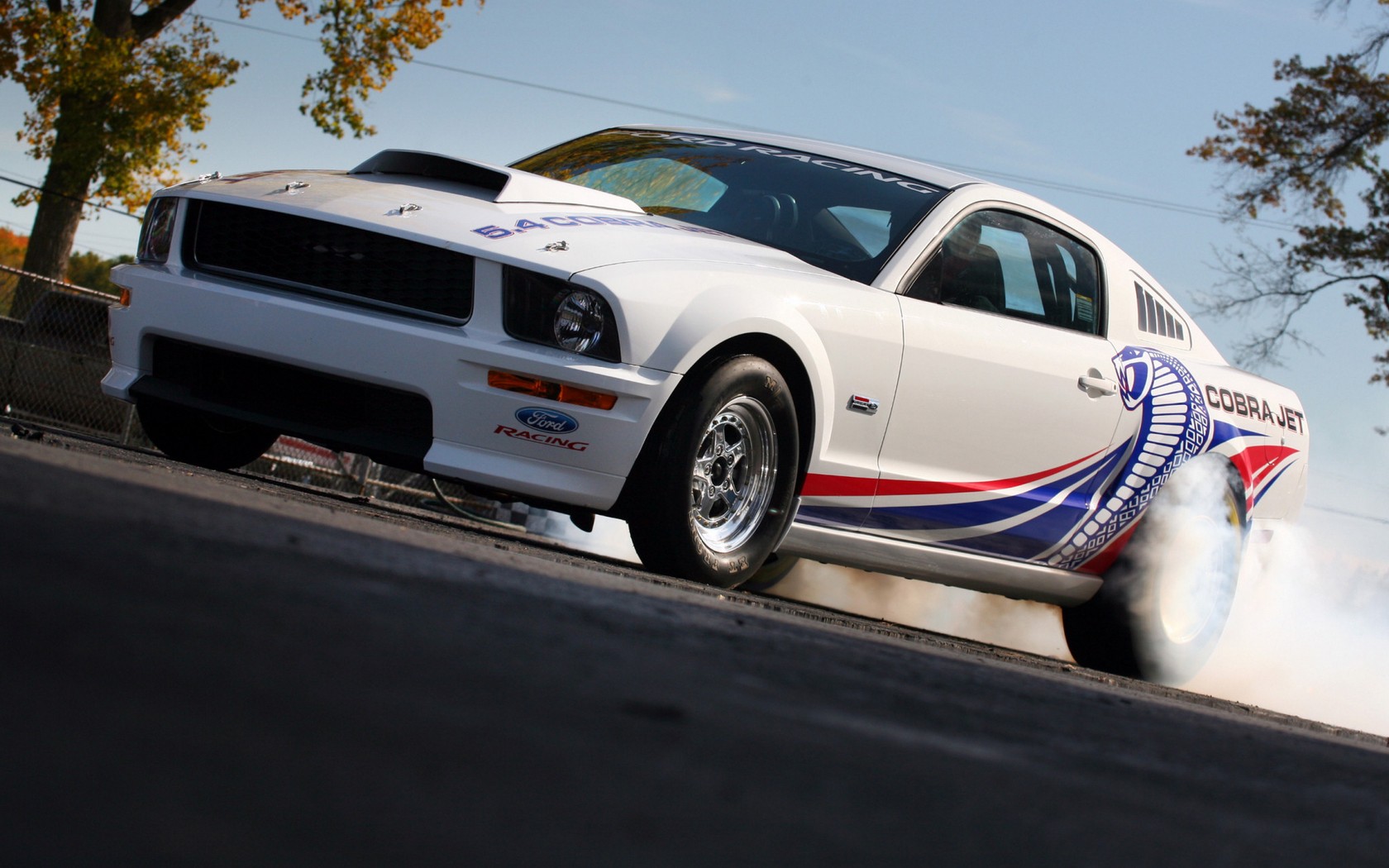 Download full size mustang fr500 Ford wallpaper / 1680x1050