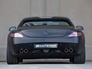 Kicherer black back / Mercedes