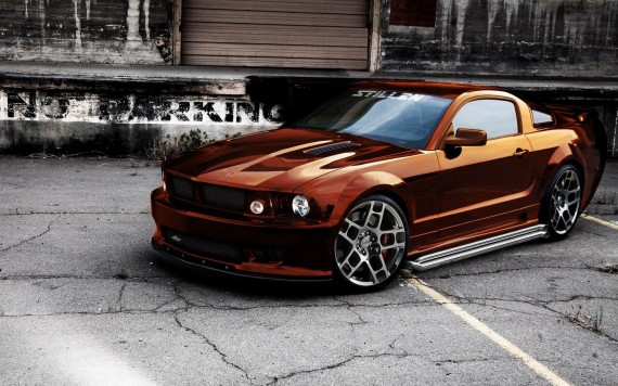 Free Send to Mobile Phone S 281 Saleen wallpaper num.22