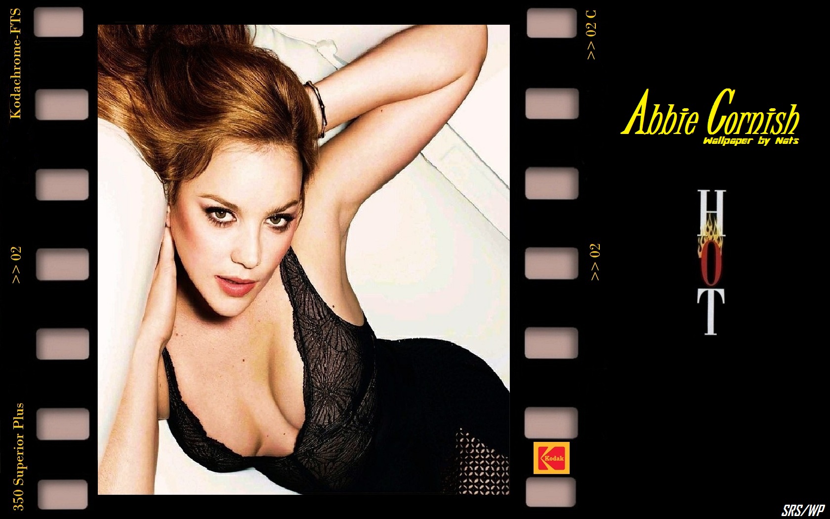 Download HQ Abbie Cornish wallpaper / Celebrities Female / 1680x1050