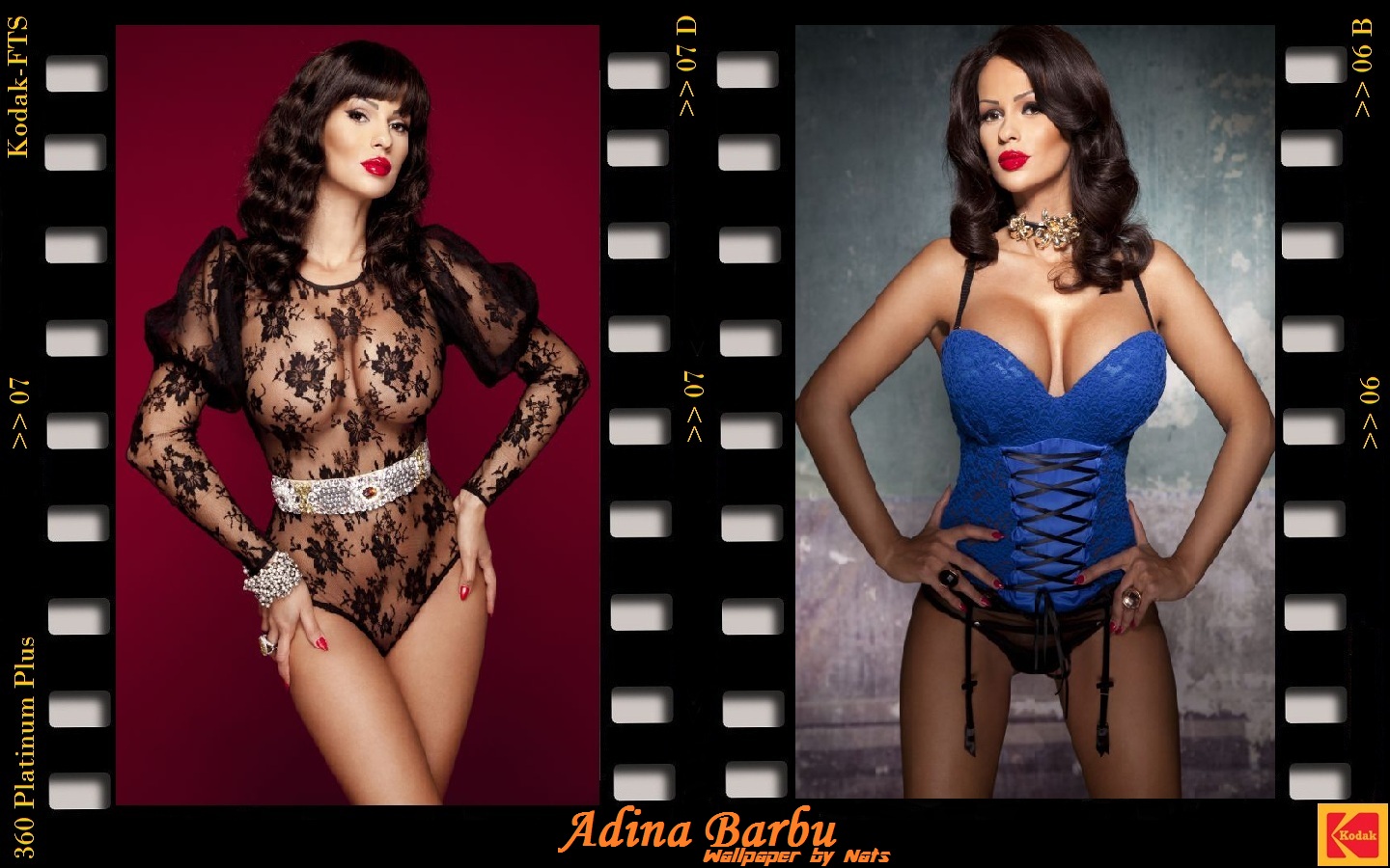 Download full size Adina Barbu wallpaper / Celebrities Female / 1440x900